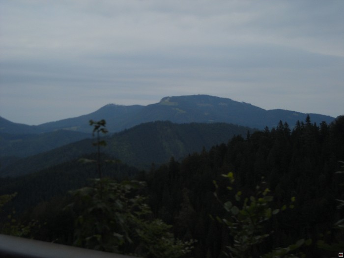 img00232.jpg