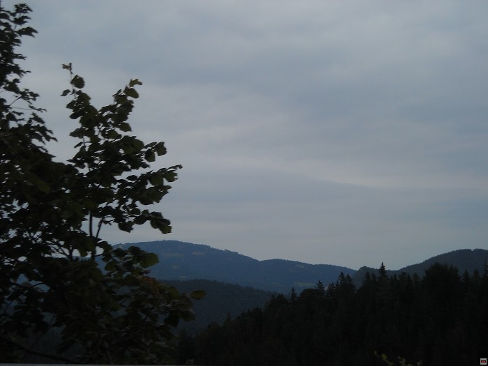 img00233.jpg