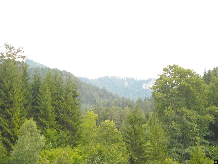 img00237.jpg