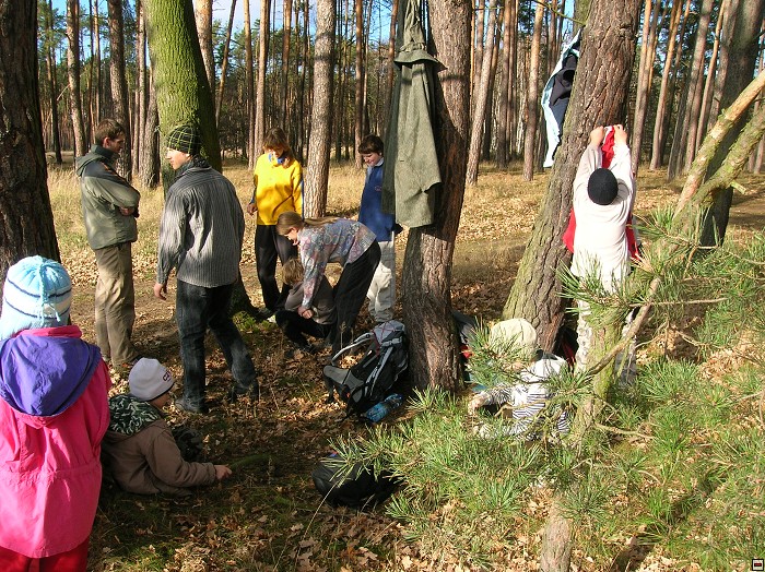 img00052.jpg