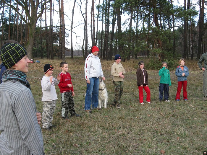 img00070.jpg