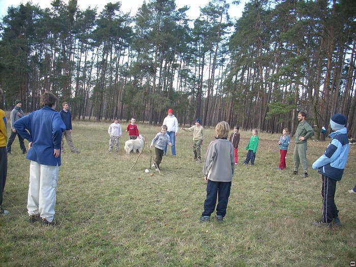img00078.jpg