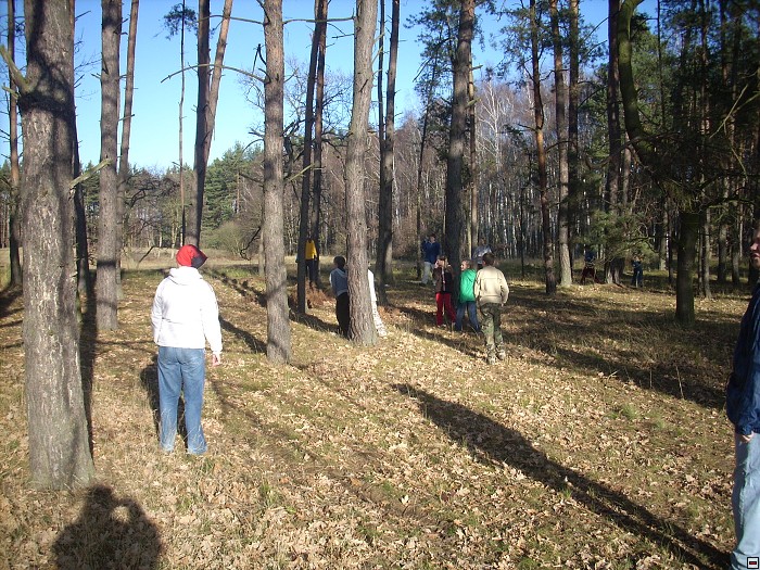 img00082.jpg