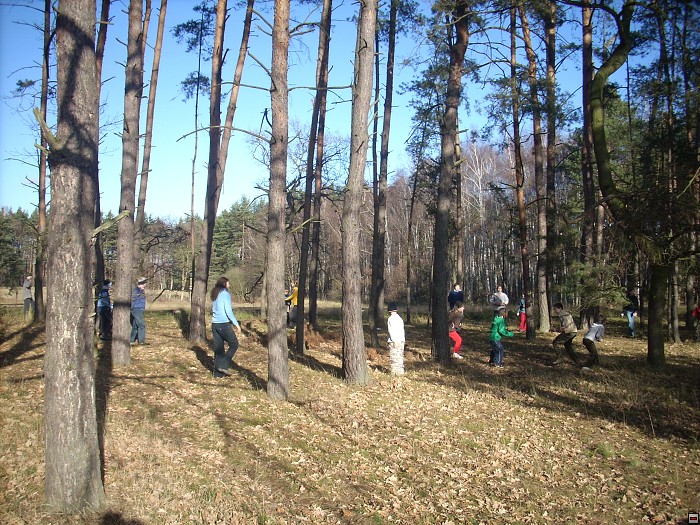 img00083.jpg