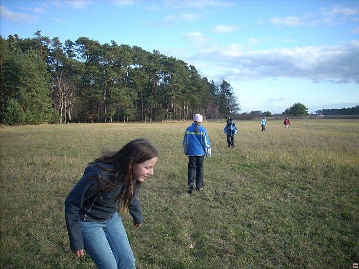img00087.jpg