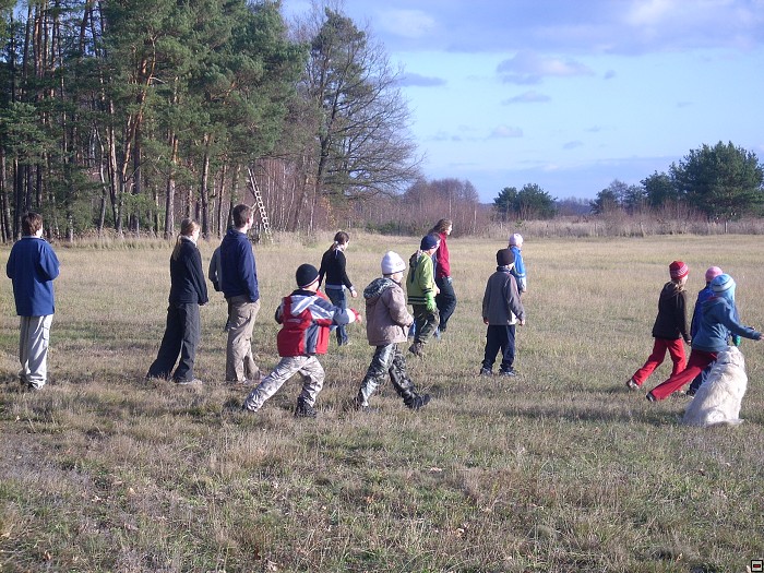 img00090.jpg