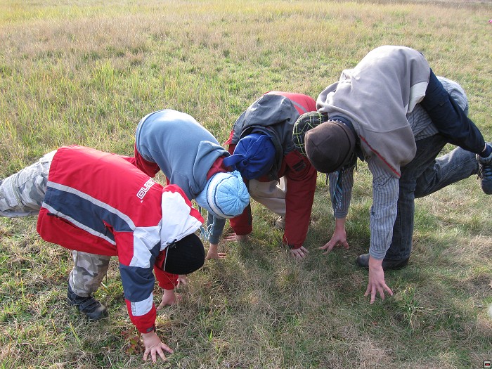 img00119.jpg