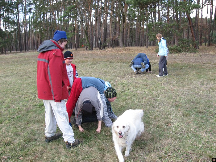img00123.jpg