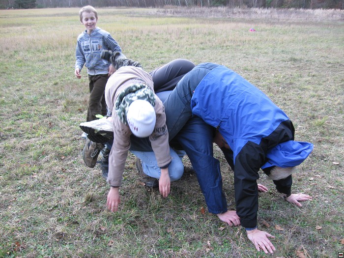 img00124.jpg