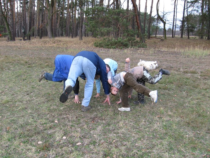 img00128.jpg