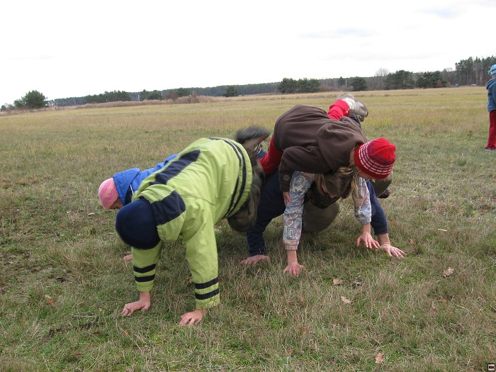 img00134.jpg