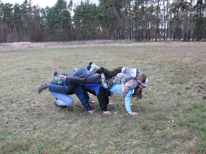 img00137.jpg