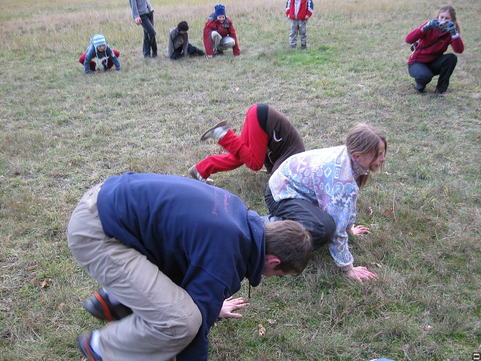 img00139.jpg