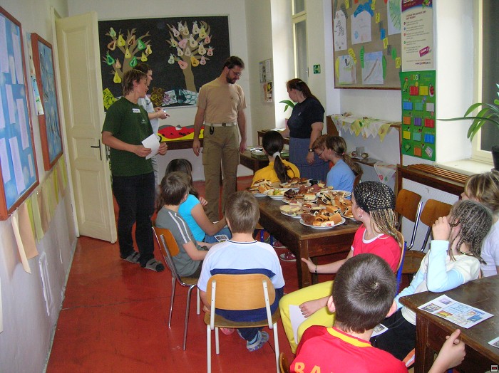 img00243.jpg