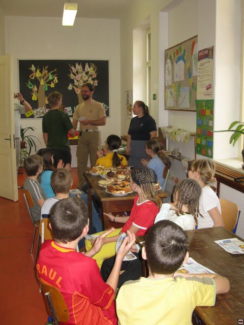img00254.jpg