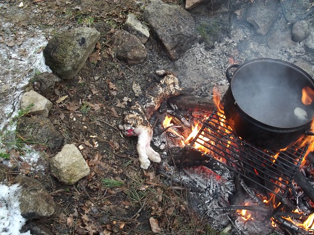 img00016.jpg