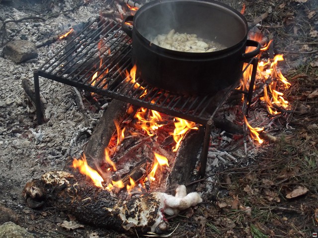 img00017.jpg