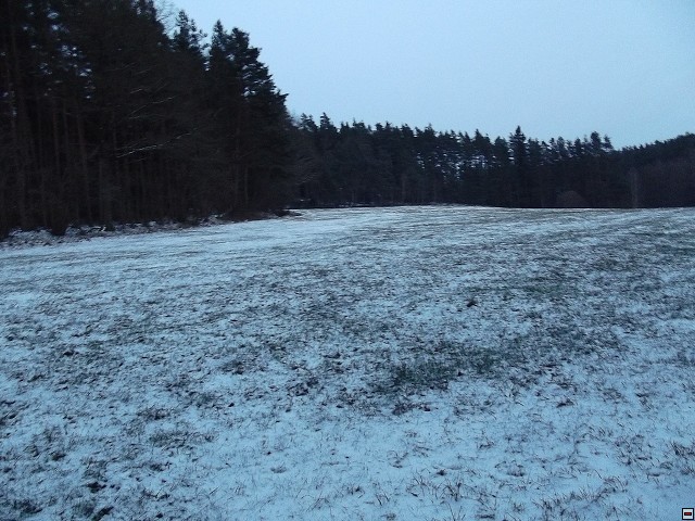 img00037.jpg