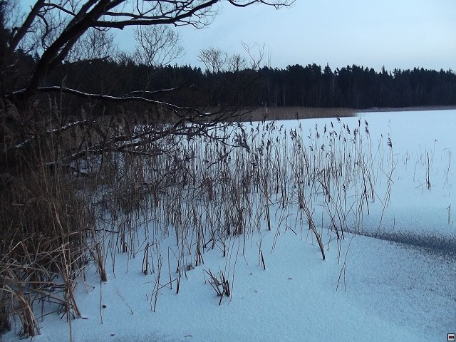 img00041.jpg
