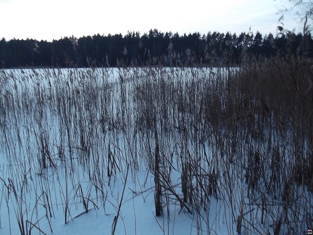 img00042.jpg