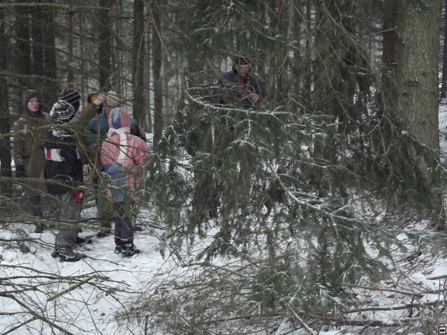img00050.jpg
