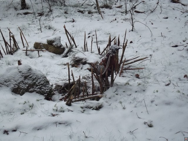 img00052.jpg