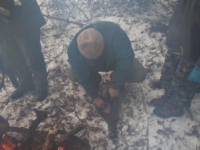 img00056.jpg