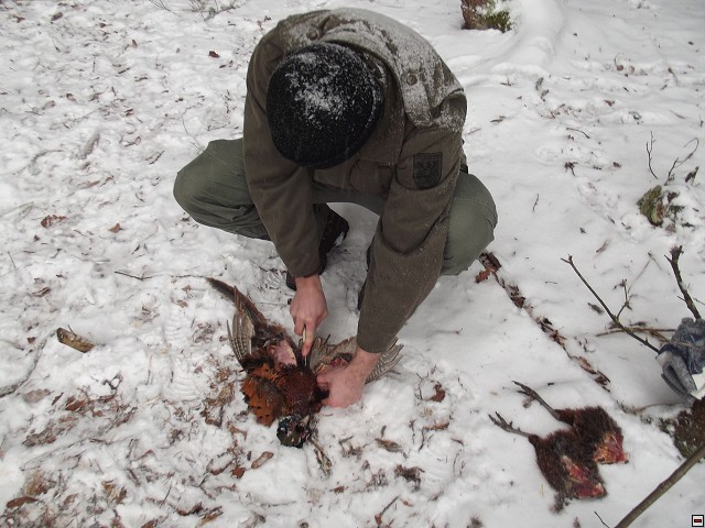 img00064.jpg