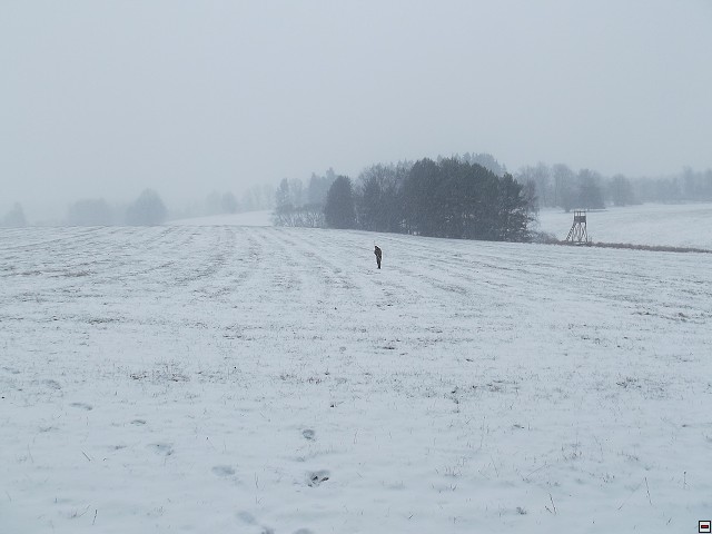 img00068.jpg
