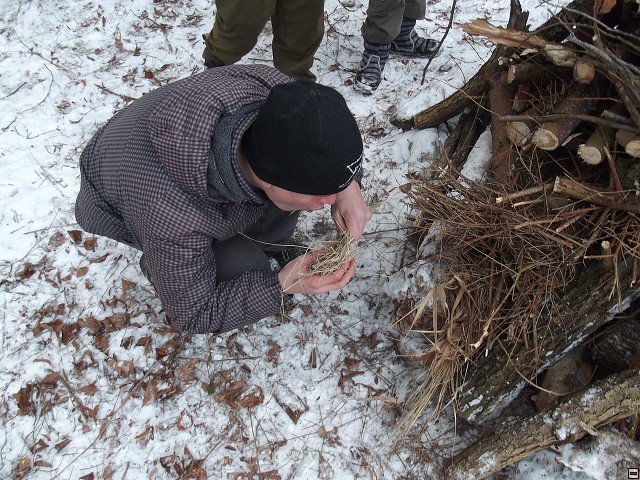 img00141.jpg