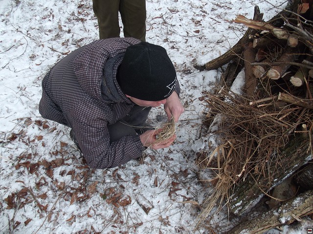 img00142.jpg