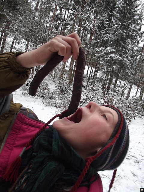 img00165.jpg