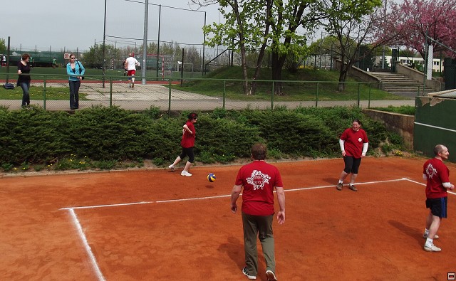 img00036.jpg