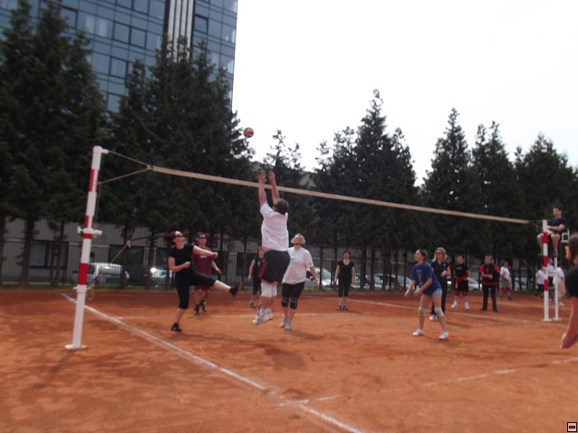 img00063.jpg