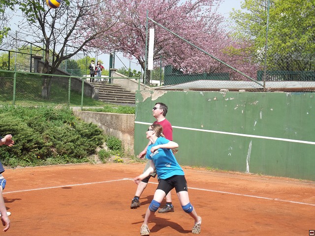 img00096.jpg