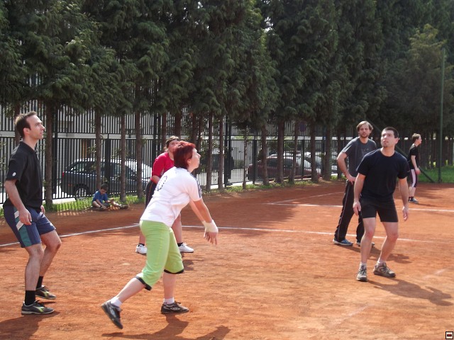 img00100.jpg