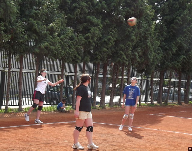 img00104.jpg