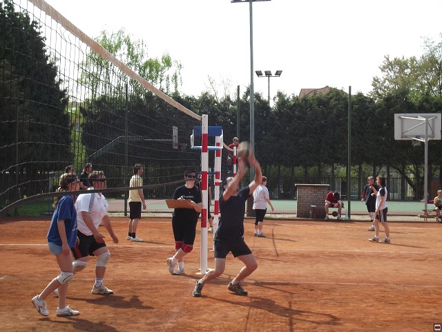 img00106.jpg