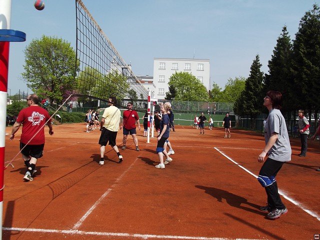 img00111.jpg