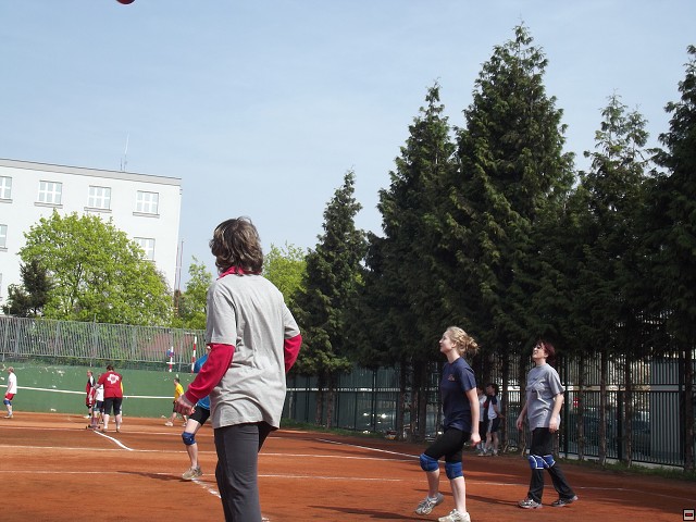 img00122.jpg