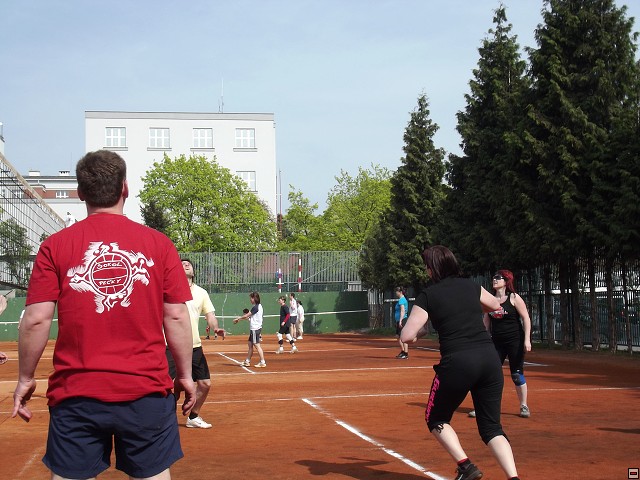img00130.jpg