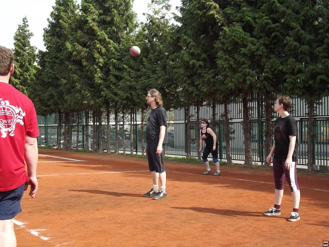 img00131.jpg