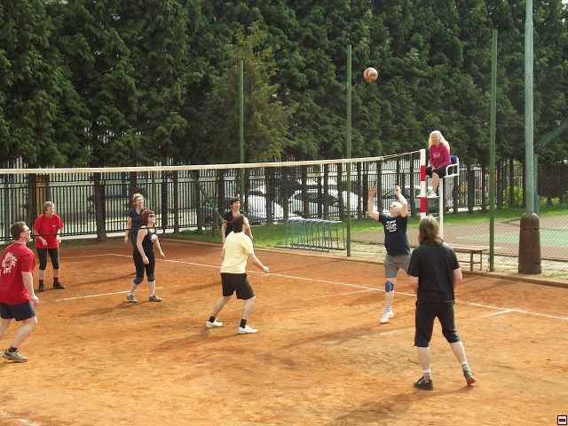 img00137.jpg