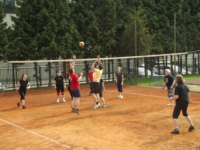 img00139.jpg
