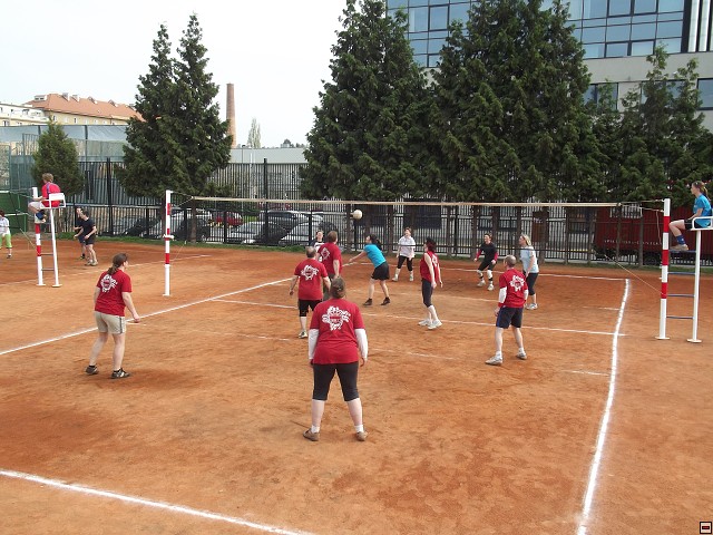 img00145.jpg