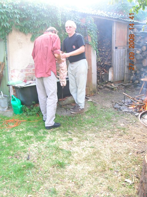 img00017.jpg