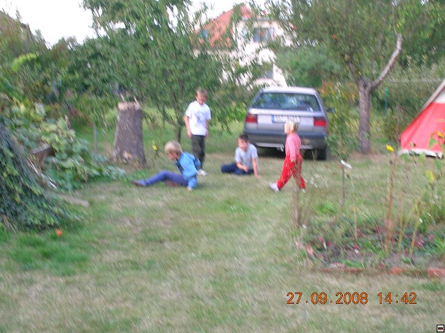 img00019.jpg