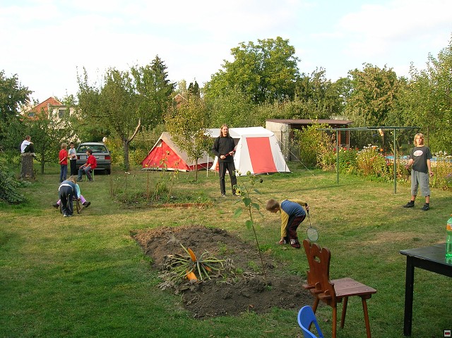 img00044.jpg