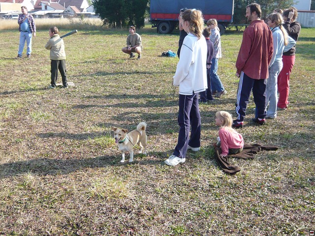 img00065.jpg