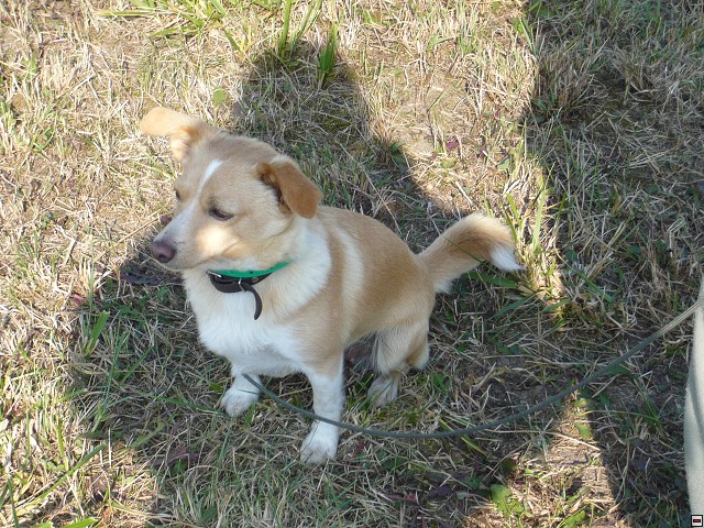 img00114.jpg